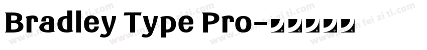 Bradley Type Pro字体转换